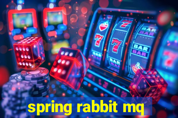 spring rabbit mq